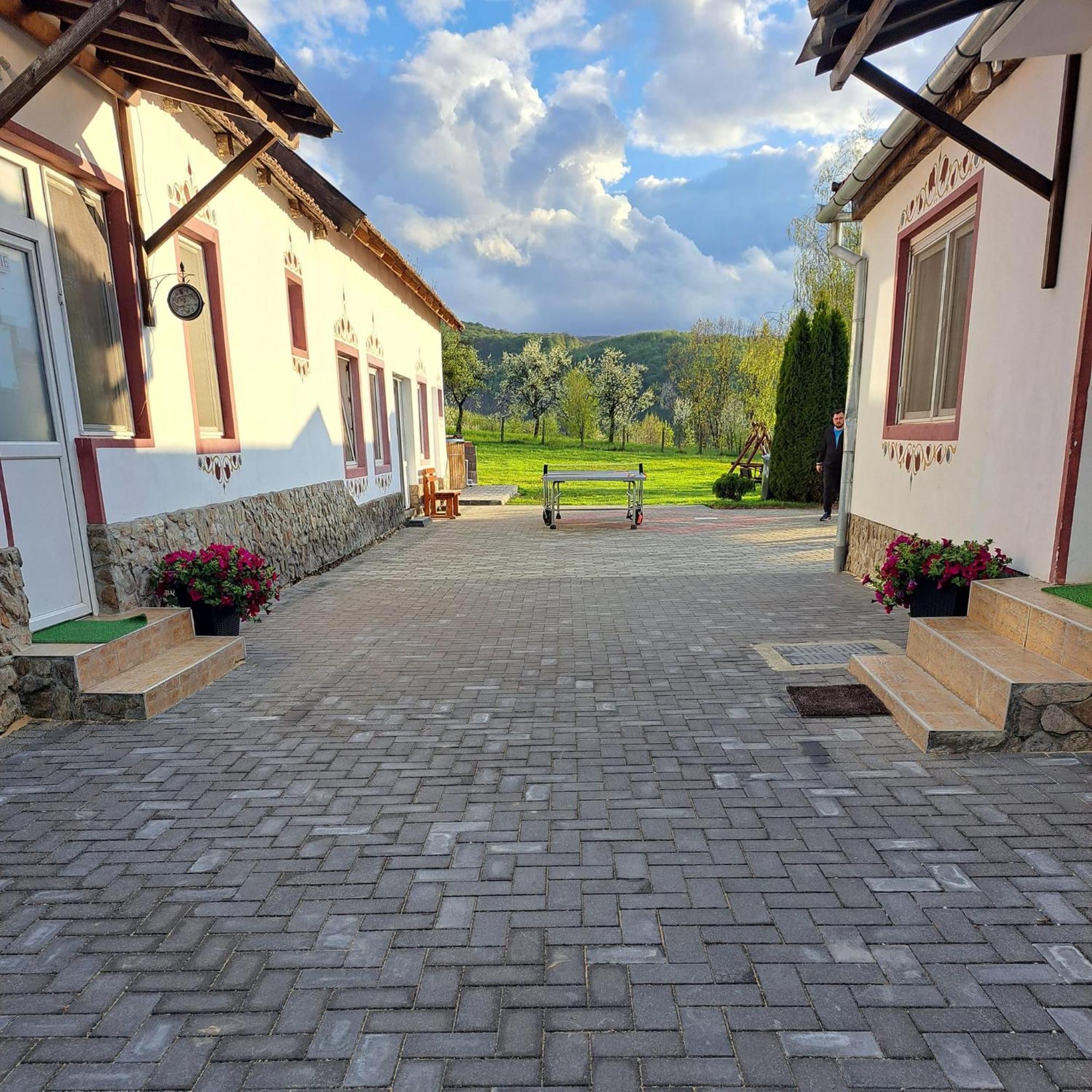 Pensiunea Turistica Retreat Belvedere Ваду Кришулуй Экстерьер фото